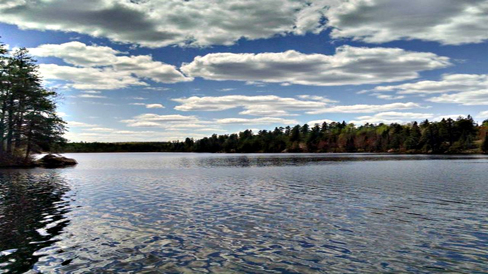 Birch Lake in Minnesota!